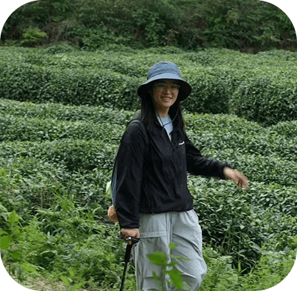 诚宁